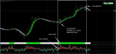 绿火外汇交易系统1.jpg